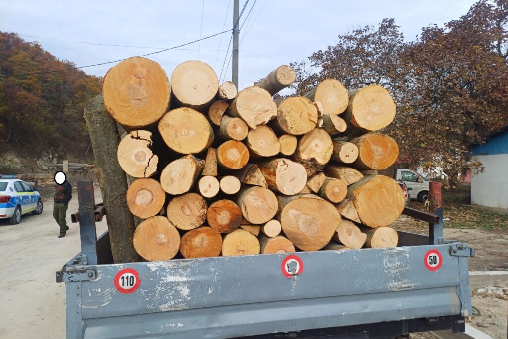 Material lemnos ridicat de polițiști și predat Ocolului Silvic Orșova